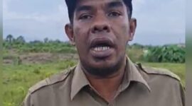 CREATOR: gd-jpeg v1.0 (using IJG JPEG v62), quality = 82?