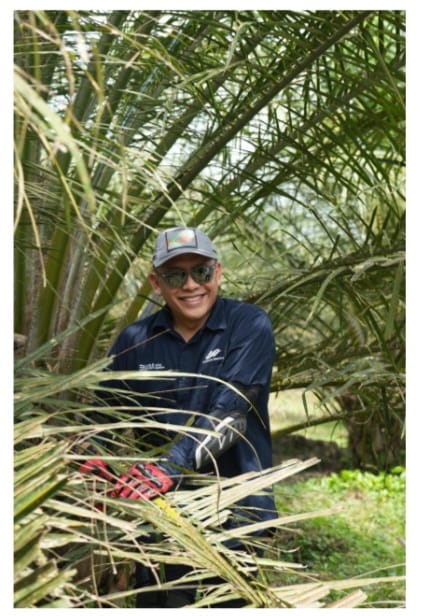 Caption: Dirut PTPN IV PalmCo Jatmiko Santosa saat panen perdana di kebun sawit PTPN IV Regional III, Riau, belum lama ini. Jatmiko telah menunjuk PTPN IV Regional III sebagai pilot project menuju produktivita 7 ton CPO. Langkah itu sejalan dengan semangat mendukung food and energy security sesuai Asta Cita