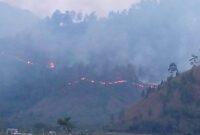 Caption : Tampak api merambat ke segala arah, termasuk ke ladang-ladang warga, Minggu (27/07/2025)