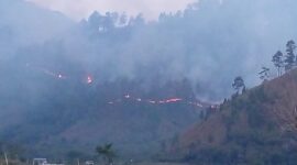 Caption : Tampak api merambat ke segala arah, termasuk ke ladang-ladang warga, Minggu (27/07/2025)