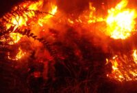 Caption : kobaran api semakin besar dan meluas di kawasan pegunungan Toweren kecamatna Lut Tawar kabupaten Aceh Tengah, Selasa (29/07/25)