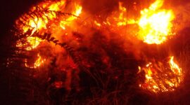 Caption : kobaran api semakin besar dan meluas di kawasan pegunungan Toweren kecamatna Lut Tawar kabupaten Aceh Tengah, Selasa (29/07/25)