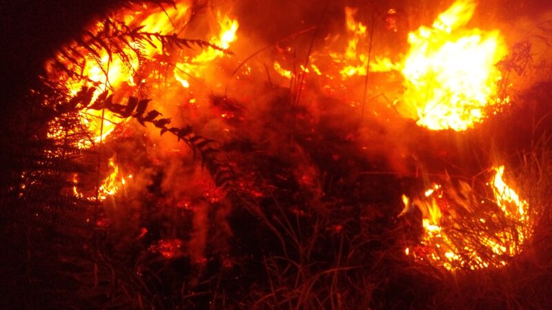 Caption : kobaran api semakin besar dan meluas di kawasan pegunungan Toweren kecamatna Lut Tawar kabupaten Aceh Tengah, Selasa (29/07/25)