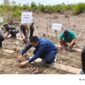 Caption : Peringati Hari Mangrove Sedunia, Gampong Proklim Dunia Jadi Tuan Rumah