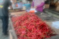 filter: 0; jpegRotation: 90; fileterIntensity: 0.000000; filterMask: 0; module:1facing:0;
hw-remosaic: 0;
touch: (-1.0, -1.0);
modeInfo: ;
sceneMode: Auto;
cct_value: 0;
AI_Scene: (-1, -1);
aec_lux: 82.0;
hist255: 0.0;
hist252~255: 0.0;
hist0~15: 0.0;