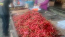 filter: 0; jpegRotation: 90; fileterIntensity: 0.000000; filterMask: 0; module:1facing:0; 
hw-remosaic: 0; 
touch: (-1.0, -1.0); 
modeInfo: ; 
sceneMode: Auto; 
cct_value: 0; 
AI_Scene: (-1, -1); 
aec_lux: 82.0; 
hist255: 0.0; 
hist252~255: 0.0; 
hist0~15: 0.0;