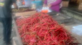 filter: 0; jpegRotation: 90; fileterIntensity: 0.000000; filterMask: 0; module:1facing:0; 
hw-remosaic: 0; 
touch: (-1.0, -1.0); 
modeInfo: ; 
sceneMode: Auto; 
cct_value: 0; 
AI_Scene: (-1, -1); 
aec_lux: 82.0; 
hist255: 0.0; 
hist252~255: 0.0; 
hist0~15: 0.0;