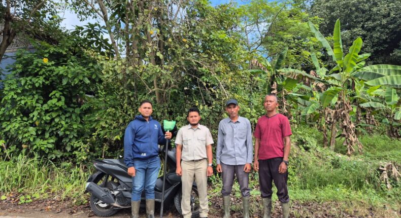 foto slider headline