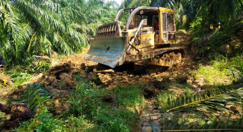 foto slider headline