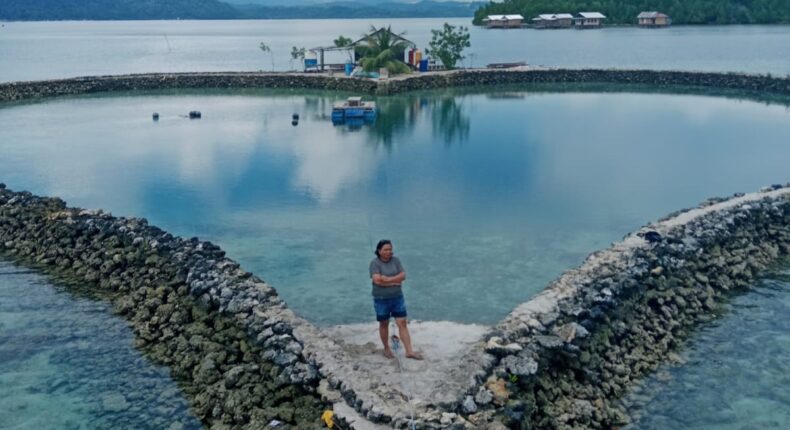 foto slider headline