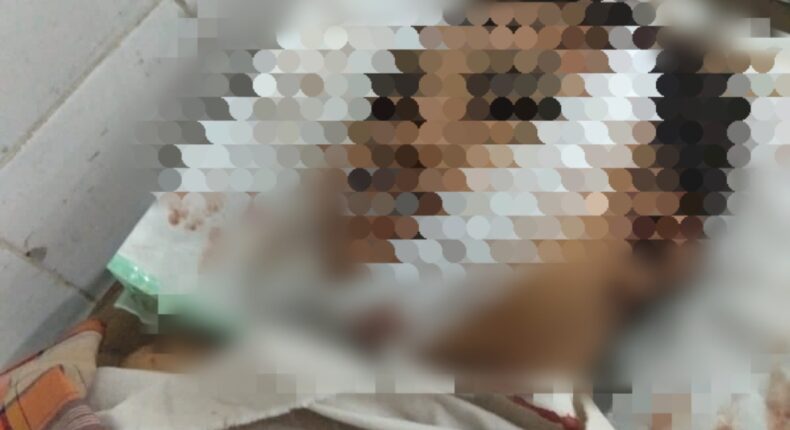 foto slider headline