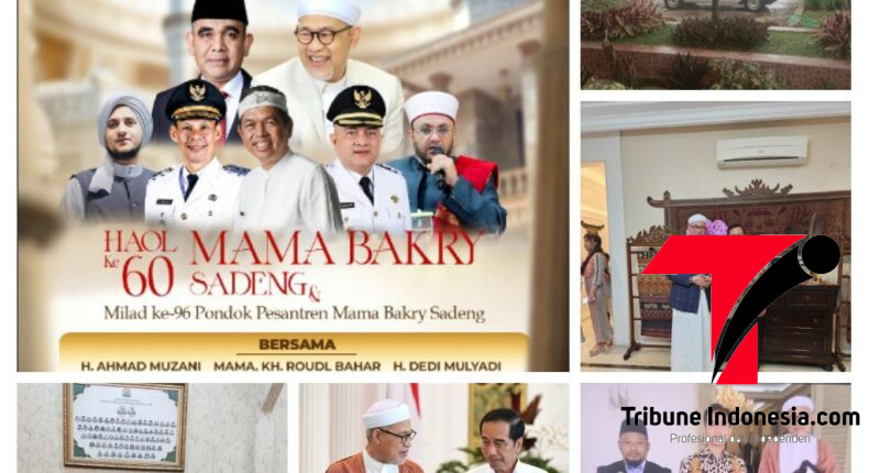 foto slider headline