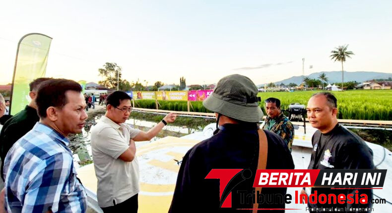 foto slider headline