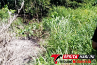 Tim Investigasi berada dilokasi pembuangan Limbah, di wilayah Tanjung Merah Bitung. (Ft.talia)