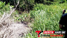 Tim Investigasi berada dilokasi pembuangan Limbah, di wilayah Tanjung Merah Bitung. (Ft.talia)