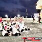 (Dok. Istimewa)