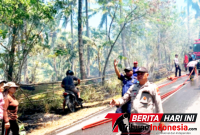 Polsek Matuari Polres Bitung Bersama Damkar Pemkot Bitung saat Memadamkan api Di lokasi Karhutla, Batu Putih. (Dok. Istimewa)