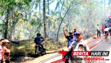 Polsek Matuari Polres Bitung Bersama Damkar Pemkot Bitung saat Memadamkan api Di lokasi Karhutla, Batu Putih. (Dok. Istimewa)