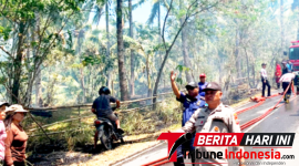 ‎Polsek Matuari Polres Bitung Bersama Damkar Pemkot Bitung saat Memadamkan api Di lokasi Karhutla, Batu Putih. (Dok. Istimewa)