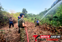Para Prajurit Kodaeral VIII bersama Petugas Pemadam Kebakaran (Damkar) Manado, melakukan Pemadaman Karhutla. (Dok. Istimewa)
‎