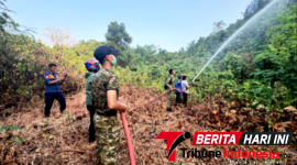 Para Prajurit Kodaeral VIII bersama Petugas Pemadam Kebakaran (Damkar) Manado, melakukan Pemadaman Karhutla. (Dok. Istimewa)
‎