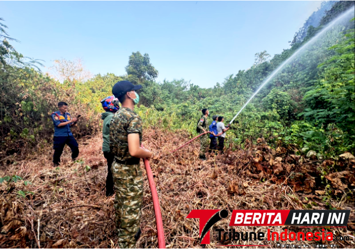 Para Prajurit Kodaeral VIII bersama Petugas Pemadam Kebakaran (Damkar) Manado, melakukan Pemadaman Karhutla. (Dok. Istimewa)
‎