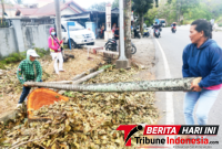 Tim Rompi Hijau Saat melakukan tugas pembersihan.(Ft. talia)
