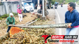 Tim Rompi Hijau Saat melakukan tugas pembersihan.(Ft. talia)