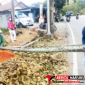 Tim Rompi Hijau Saat melakukan tugas pembersihan.(Ft. talia)