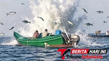 Pengawasan Kawasan Konservasi Raja Ampat Disorot, Tokoh Pemuda Dorong Masyarakat Adat Dilibatkan