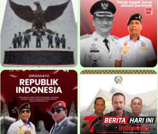 foto slider headline