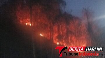 Api Meluas di Tebing Belakang Kompleks PLN, Warga Waisai Berupaya Padamkan dengan Alat Seadanya
