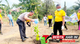 Kapolres Bitung AKBP Arie Sulistyo Nugroho, S.I.K., M.H., Saat melakukan penyiraman pohon yang baru ditanam. (ft. humas polres bitung)
‎