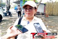 βKepala Bidang Penagihan dan Penerimaan Pendapatan lainnya, Marlien Erni Wangkay, SP, MAP., Saat memberikan pernyataan resminya di lokasi Razia. (ft. talia)
β
